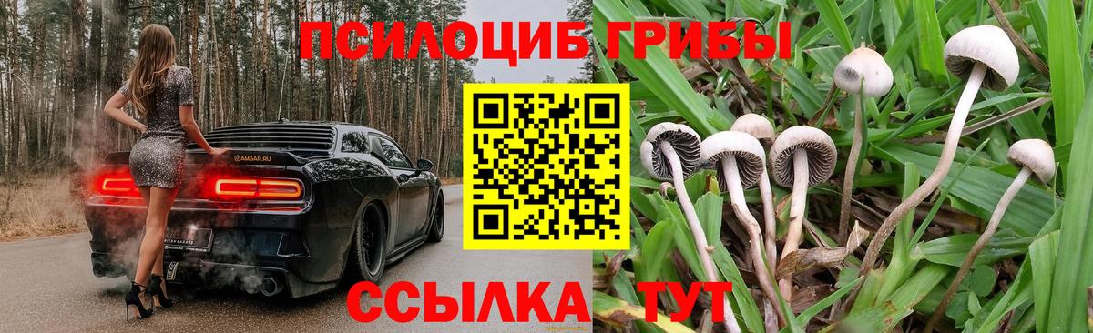 Псилоцибиновые грибы Cubensis Нефтеюганск